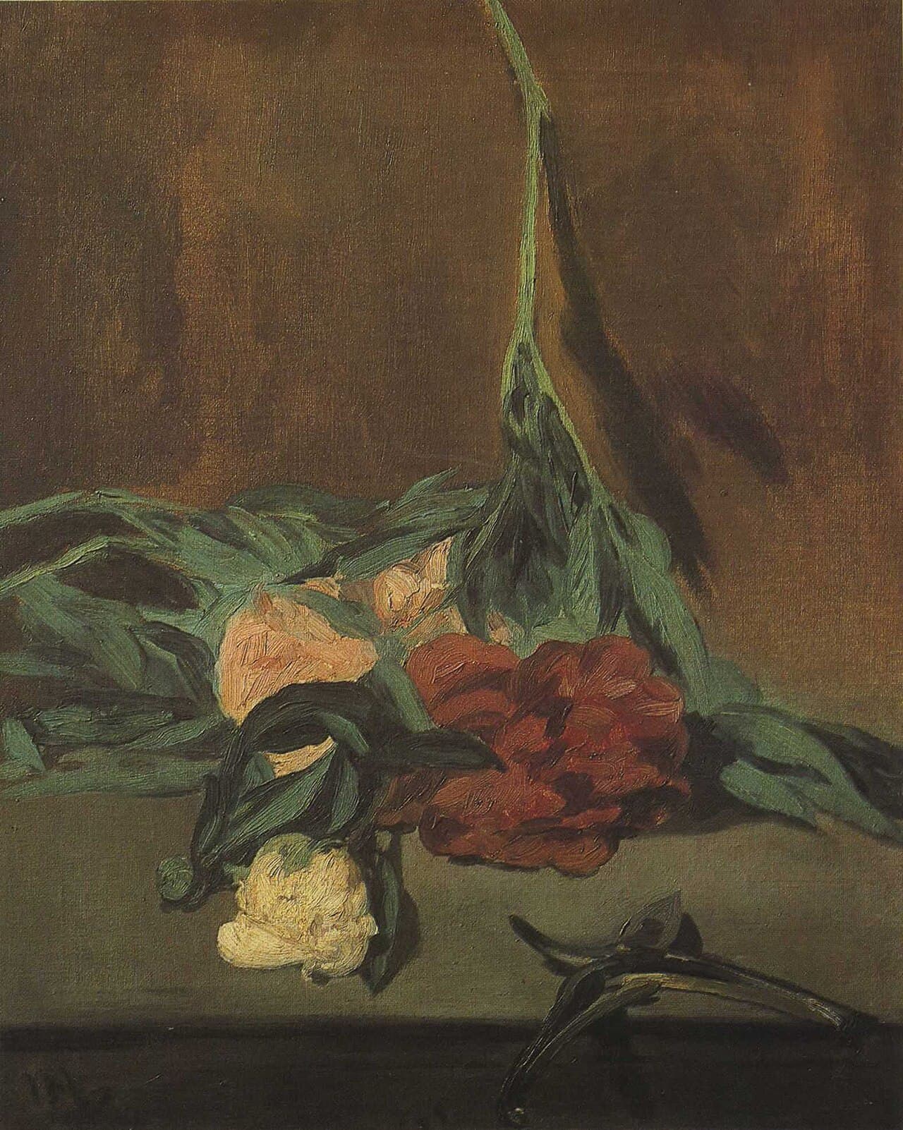 Peony Stem and Secateurs (1864)