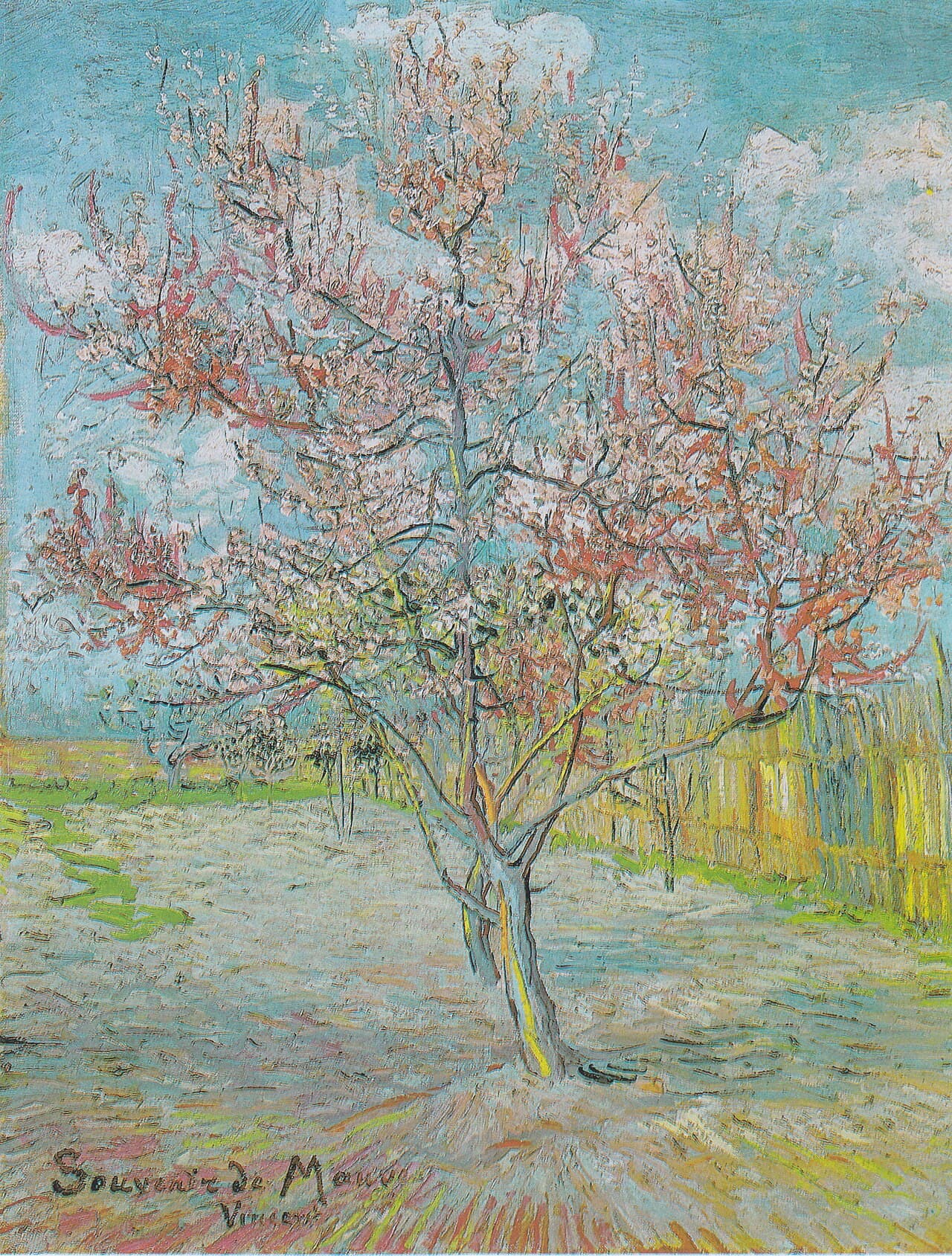 Flowering peach tree by Vincent van Gogh (1888)
