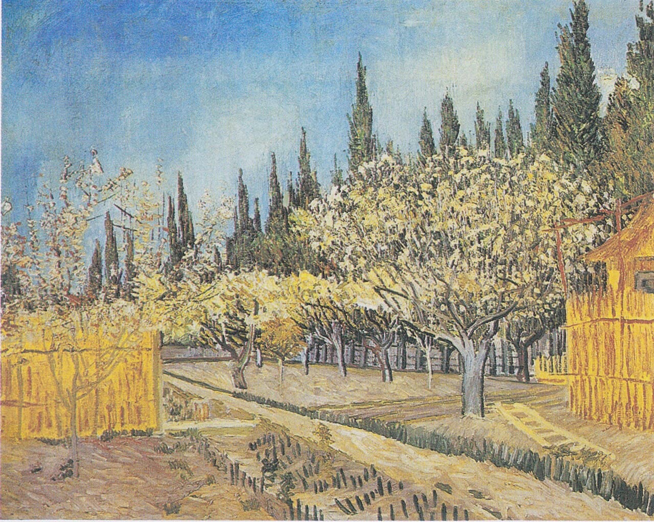 Orchard in Blossom, Bordered by Cypresses by Vincent van Gogh (1888)
