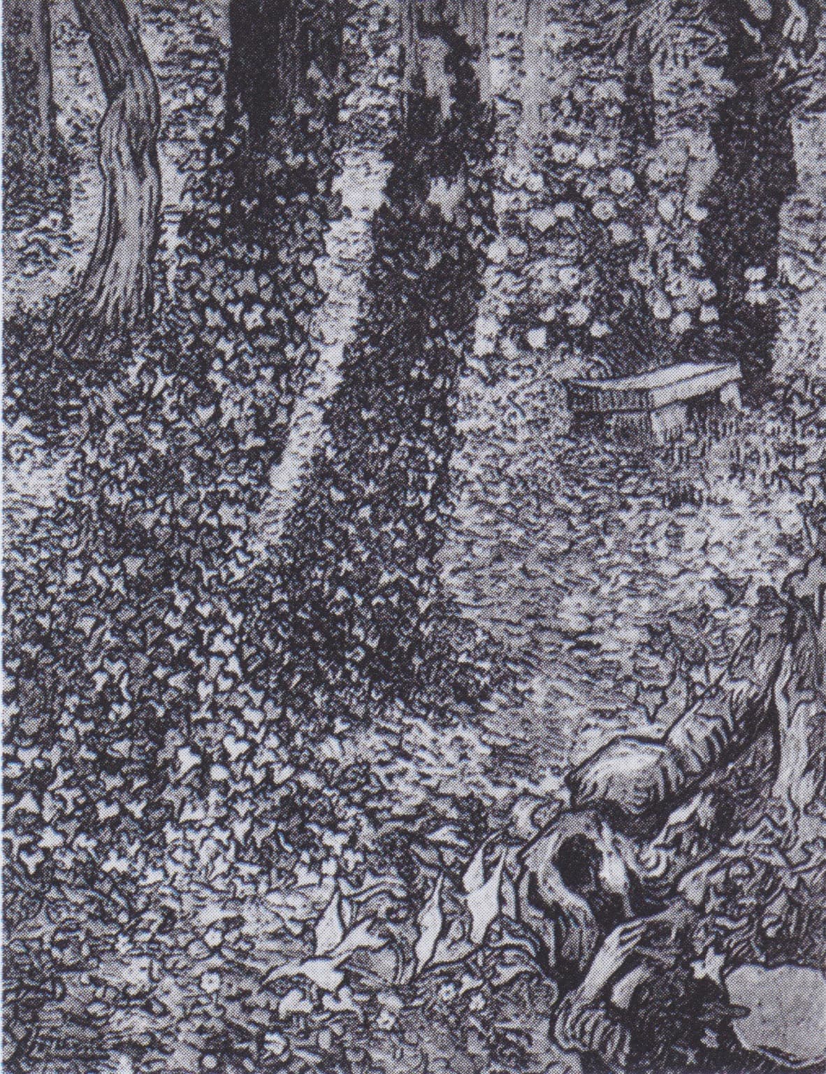 Corner in the Garden of Saint-Paul Hospital, A (1889)