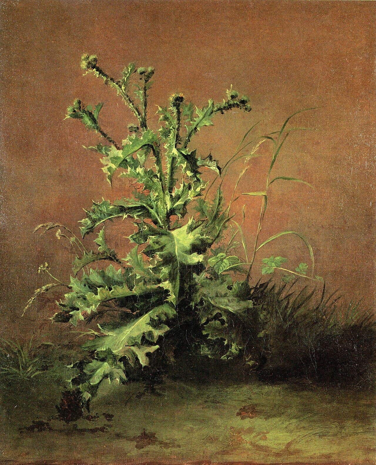 The Thistle (1858)