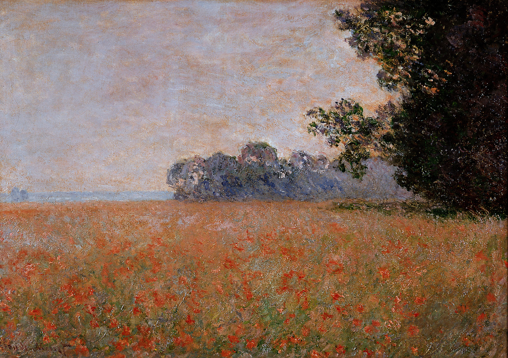 Oat Field with Poppies