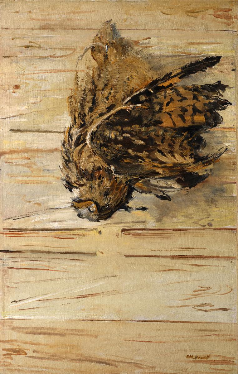 Dead Eagle Owl