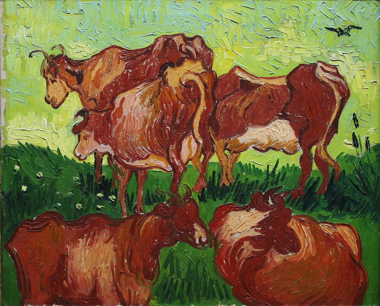 Cows