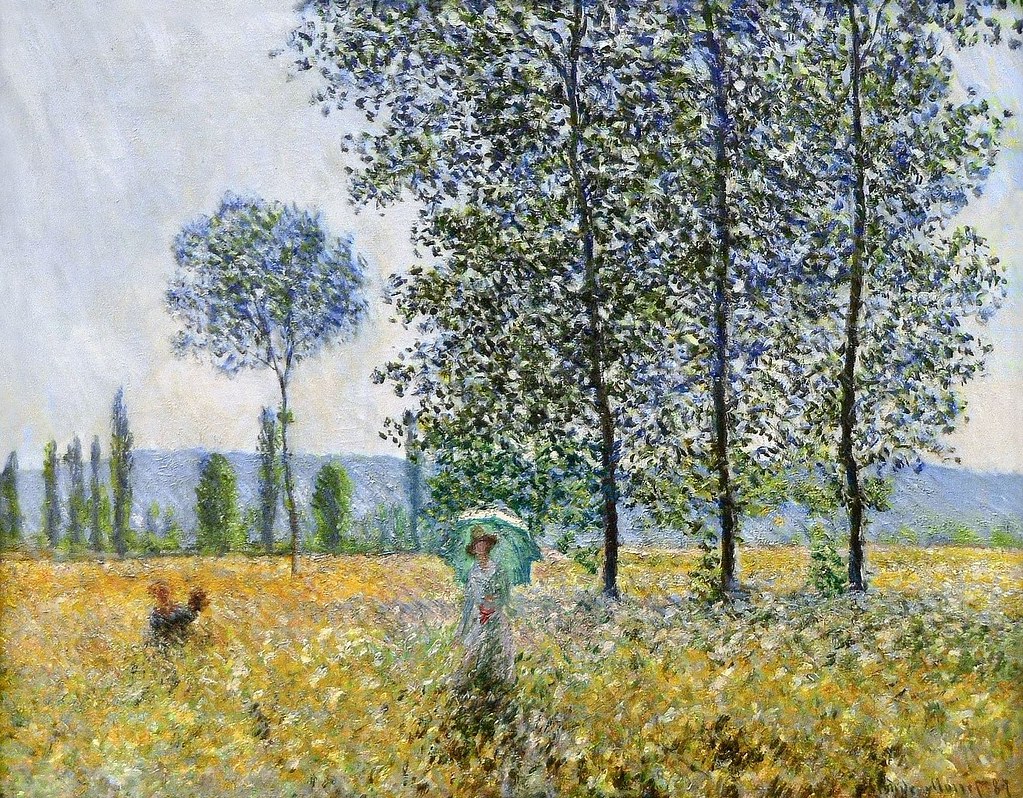 Poplars in the Sun