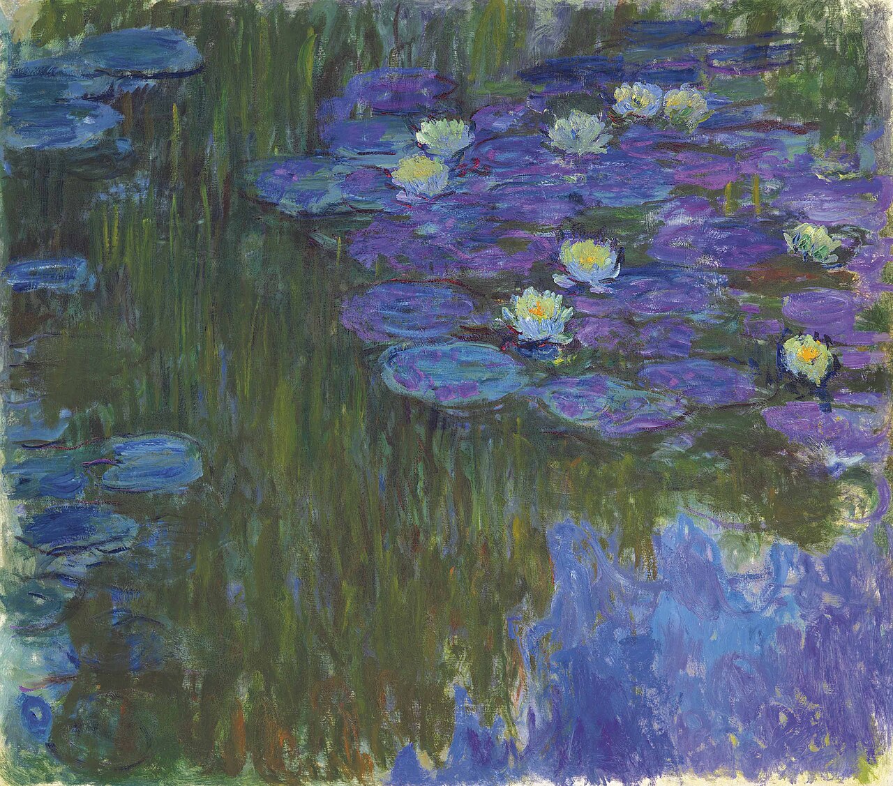 Nymphéas en fleur