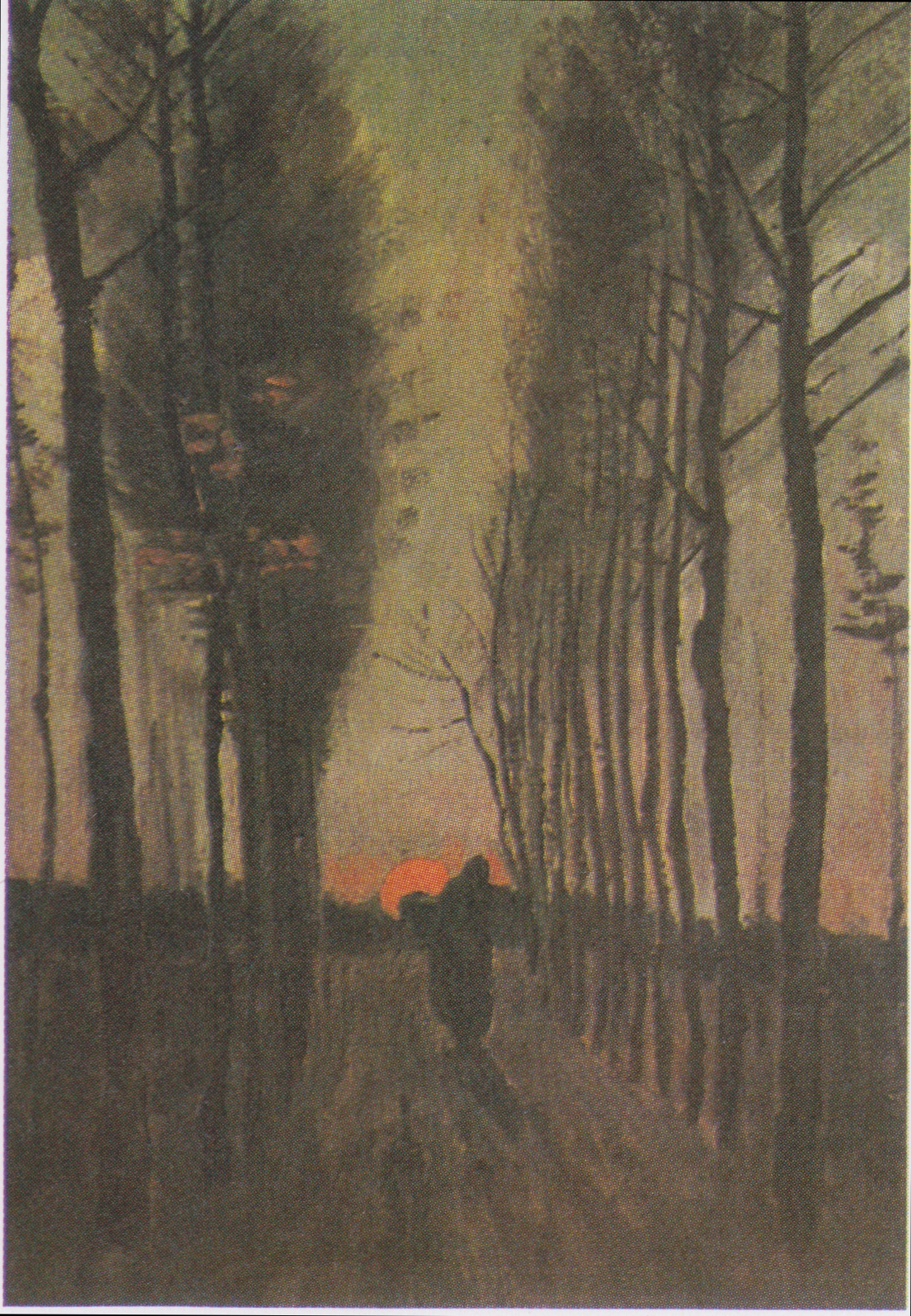 Avenue of Poplars at Sunset