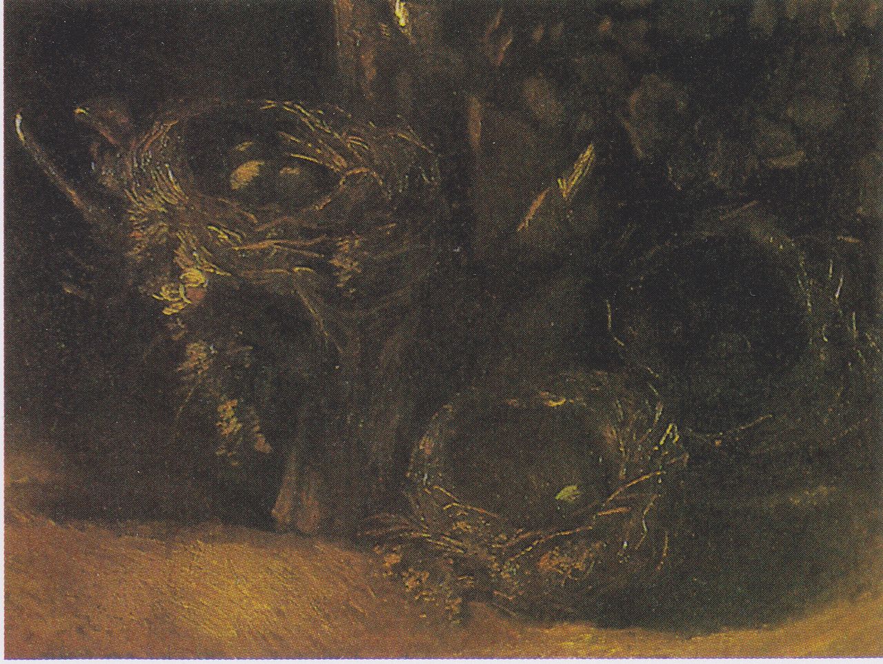 Still Life with Three Birds' Nests