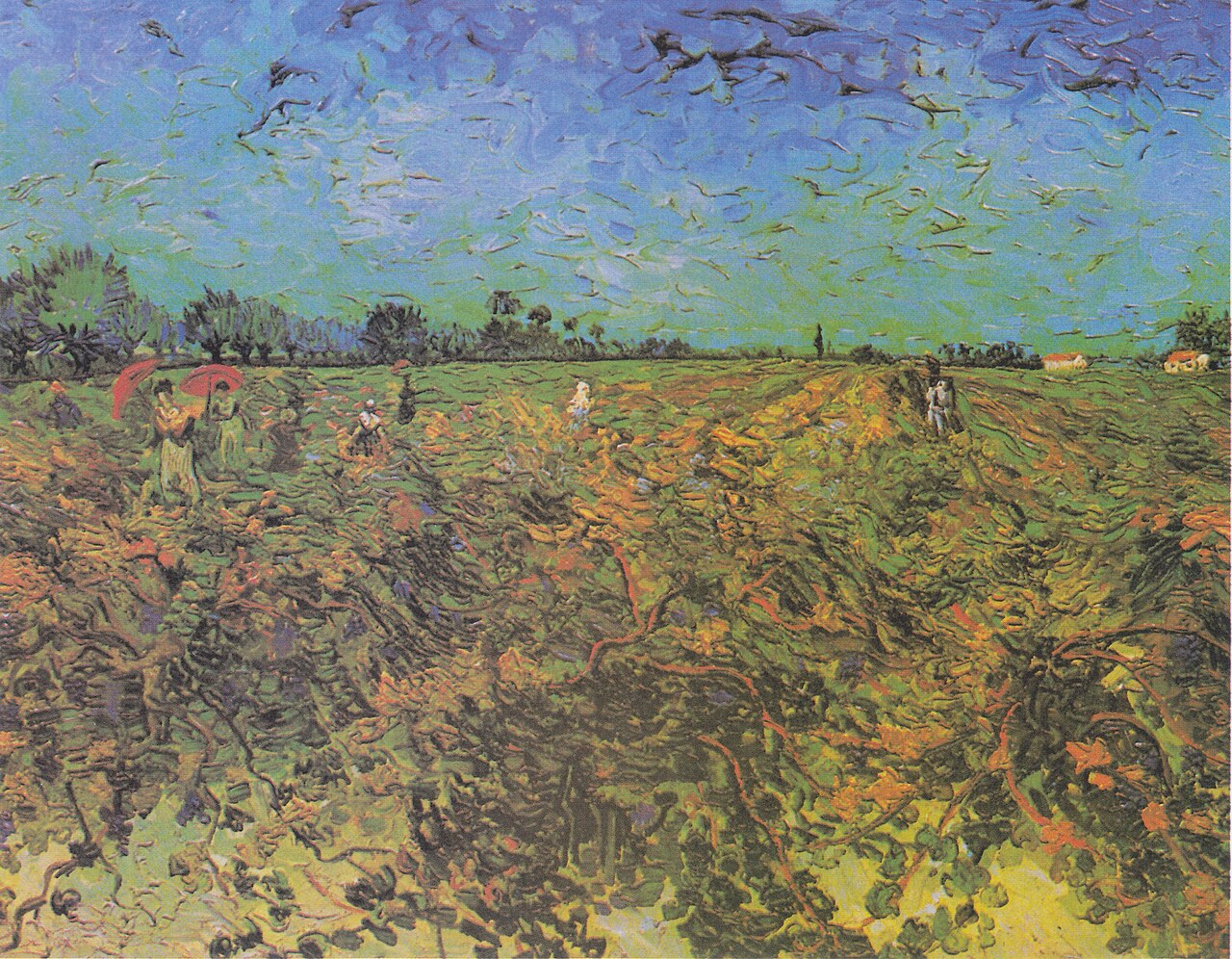 The green vineyard