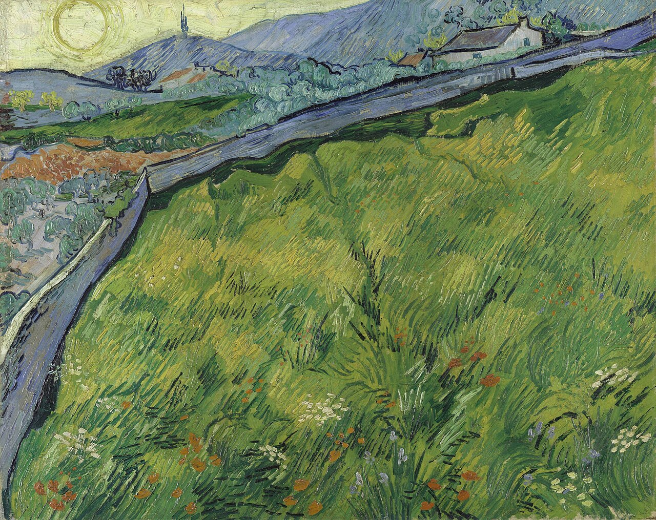 Enclosed Wheat Field with Rising Sun