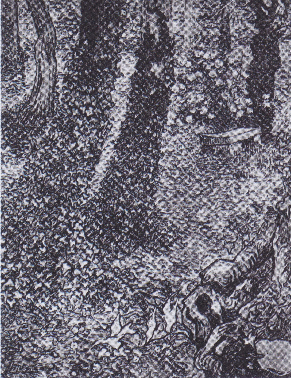 Corner in the Garden of Saint-Paul Hospital, A