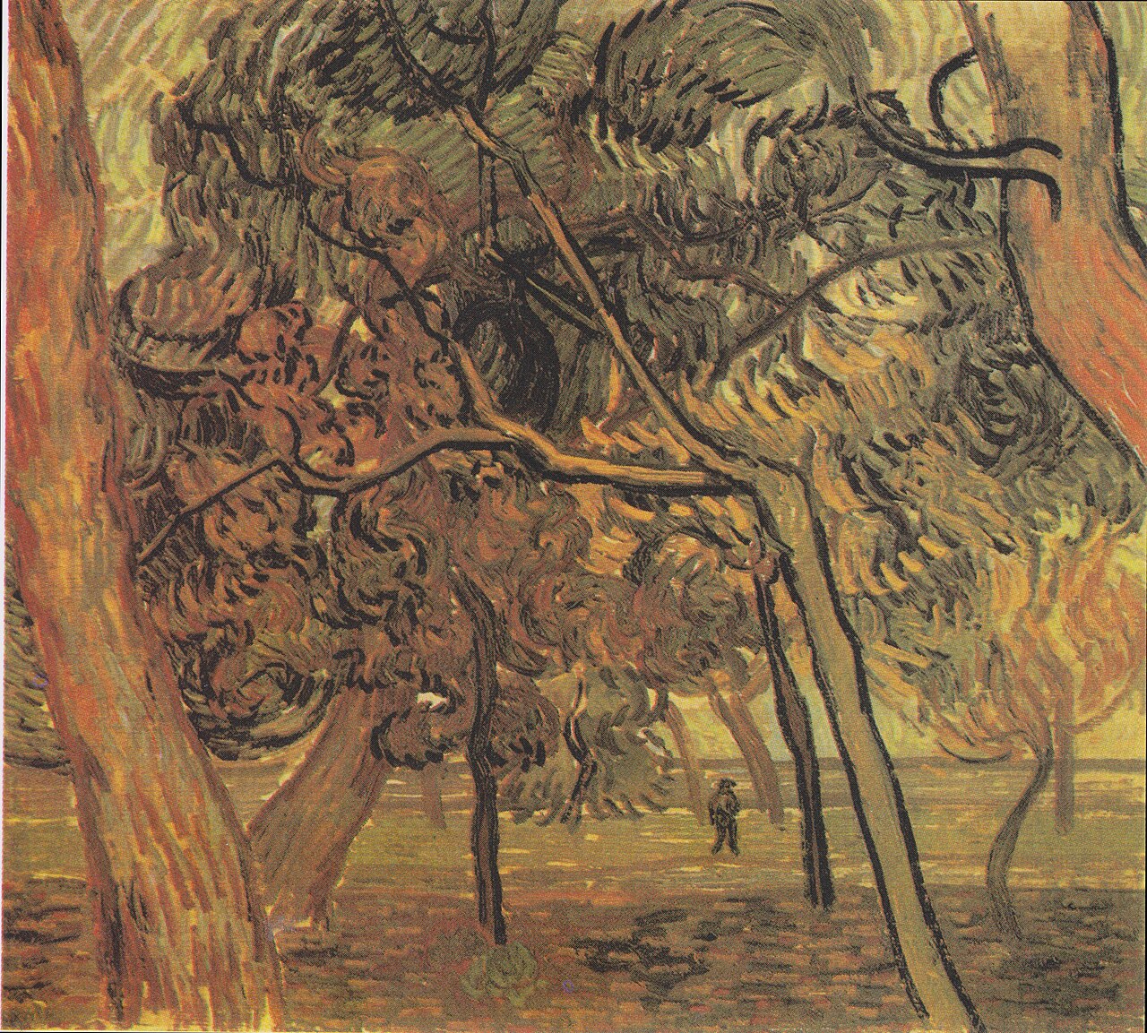 Study with spruce in the fall