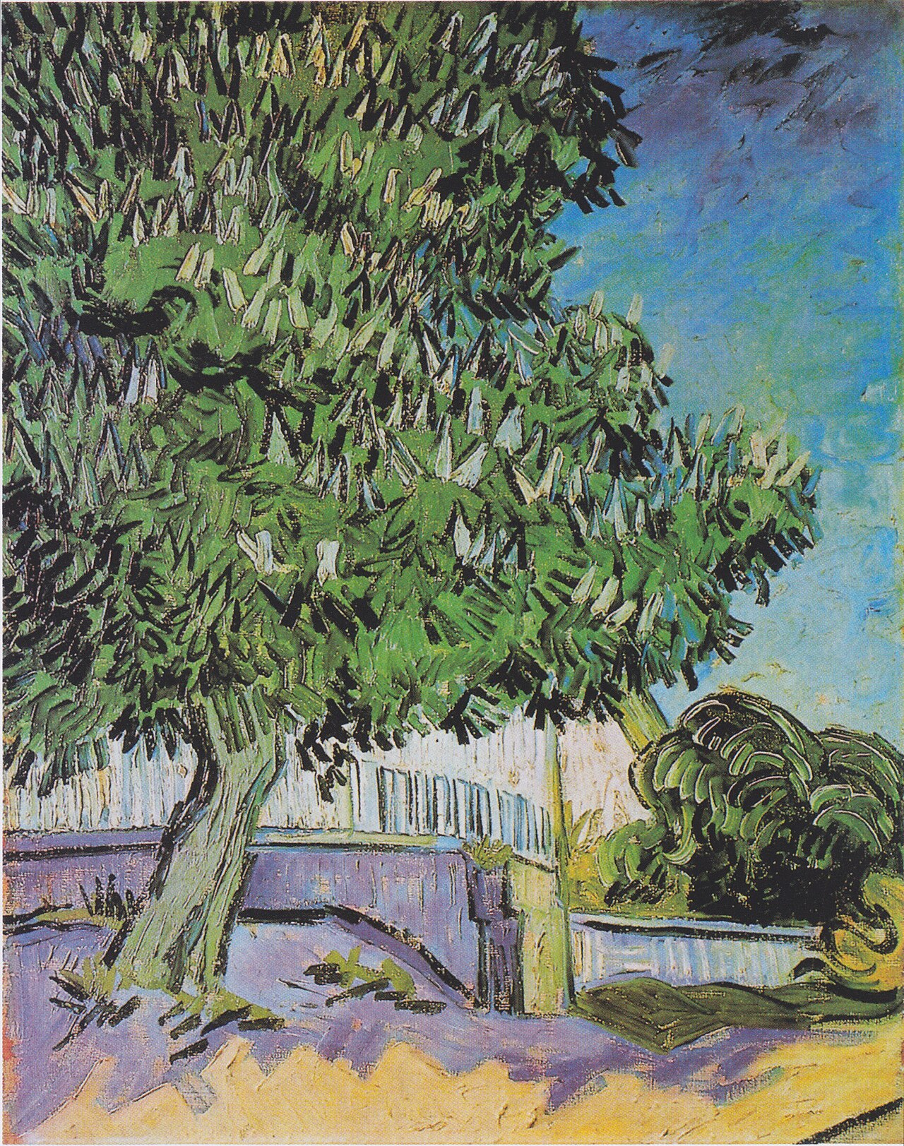 Blossoming chestnut trees